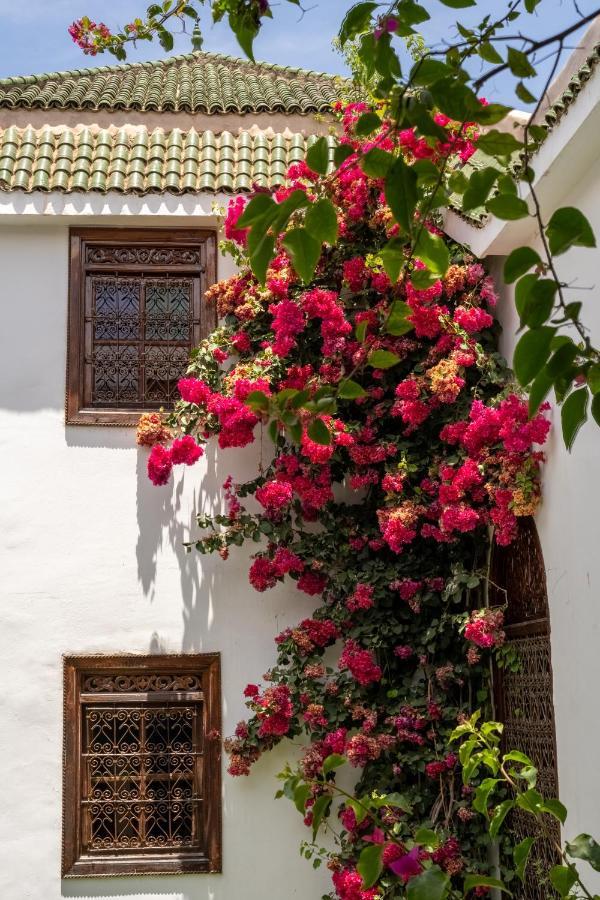 Riad Alma Marrakesh Bagian luar foto