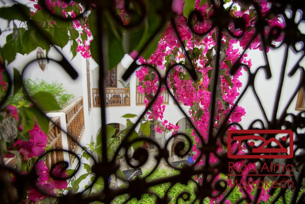 Riad Alma Marrakesh Bagian luar foto